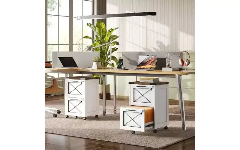 DEXYLLO 2 Drawer File Cabinet with Hanging Files, Mobile Rolling Storage Cabinet for Home Office, Under Desk Filing Cabinet with Lock