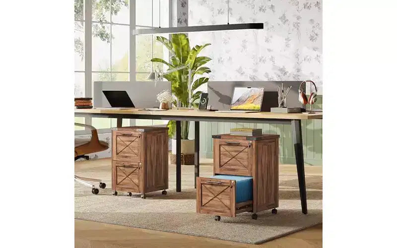 DEXYLLO 2 Drawer File Cabinet with Hanging Files, Mobile Rolling Storage Cabinet for Home Office, Under Desk Filing Cabinet with Lock