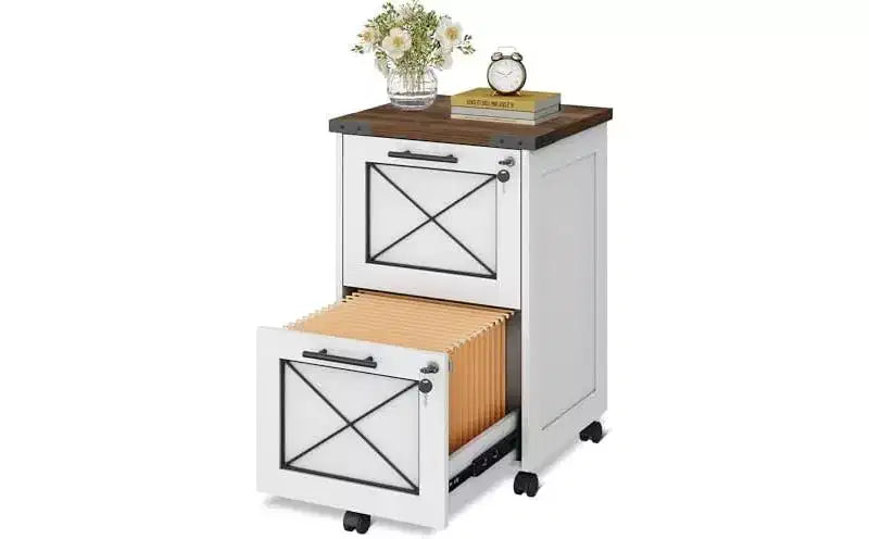 DEXYLLO 2 Drawer File Cabinet with Hanging Files, Mobile Rolling Storage Cabinet for Home Office, Under Desk Filing Cabinet with Lock